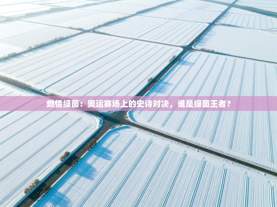 燃情绿茵：奥运赛场上的史诗对决，谁是绿茵王者？  第1张